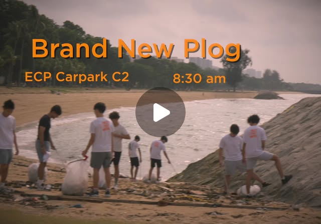 Brand New Plog cover